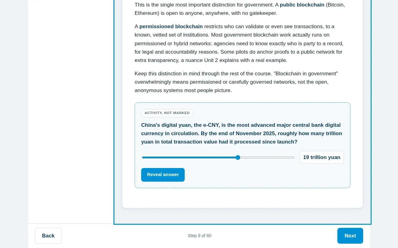 Blockchain for Government & Public Sector course screen: an interaction from the course