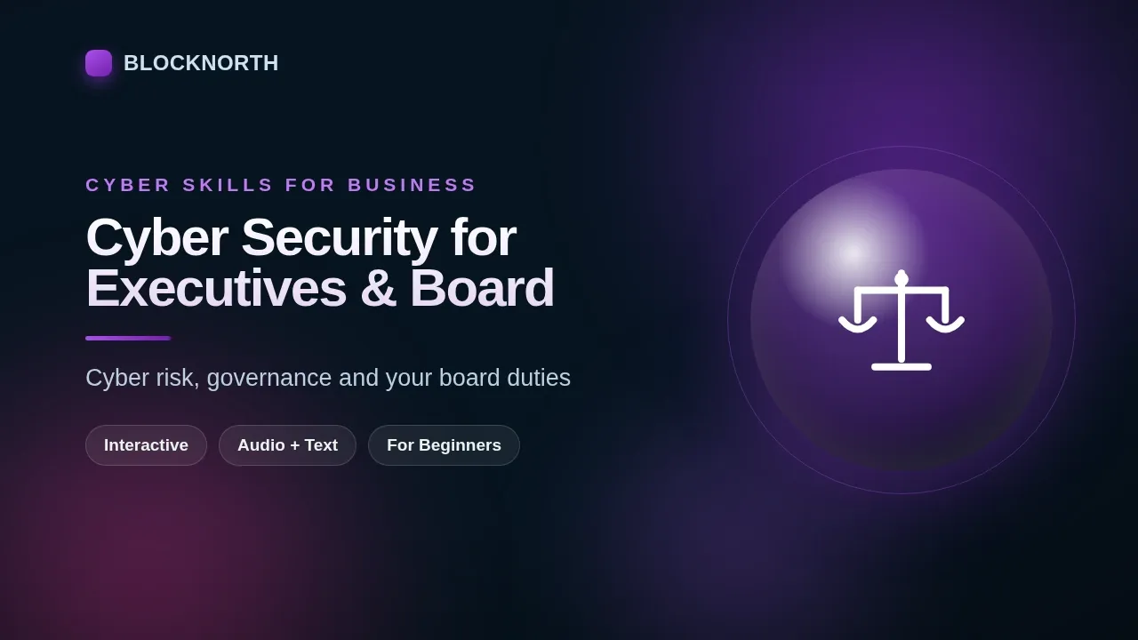 Cyber Security for Executives & Board, online course for executives and the board