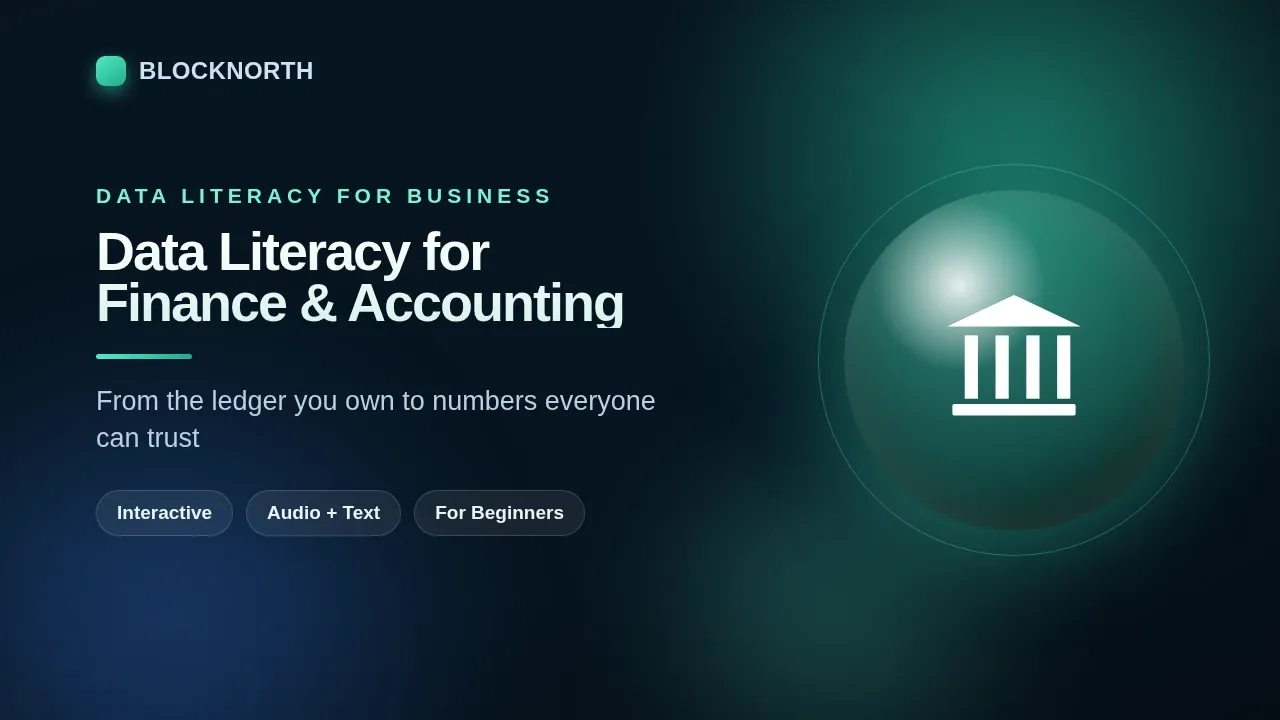 Data Literacy for Finance & Accounting, online course for finance teams