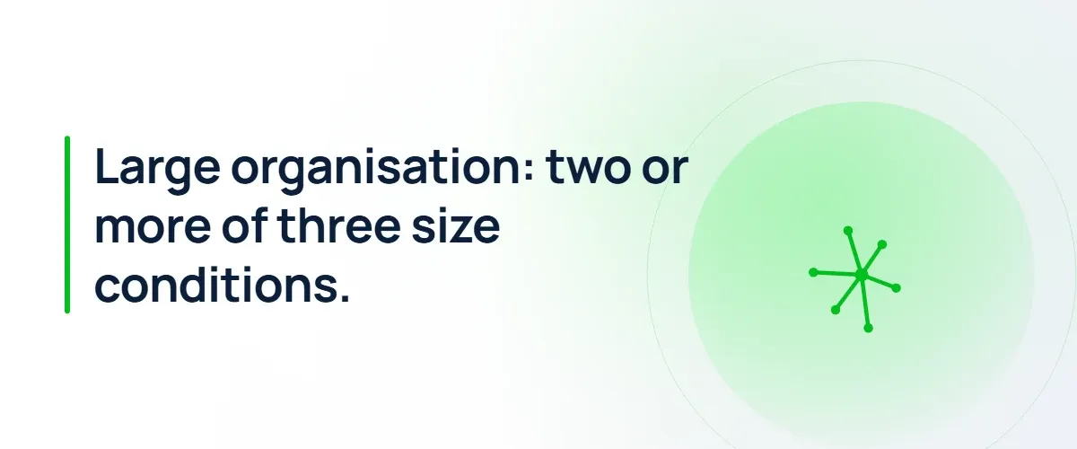 Large organisation: two or more of three size conditions.